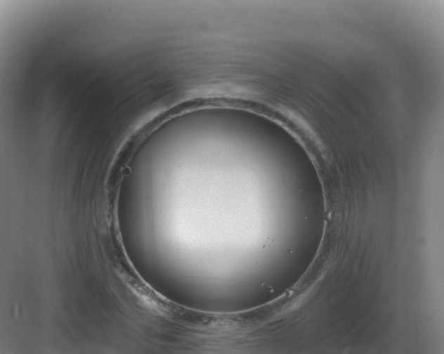 X0000083040974200702091404