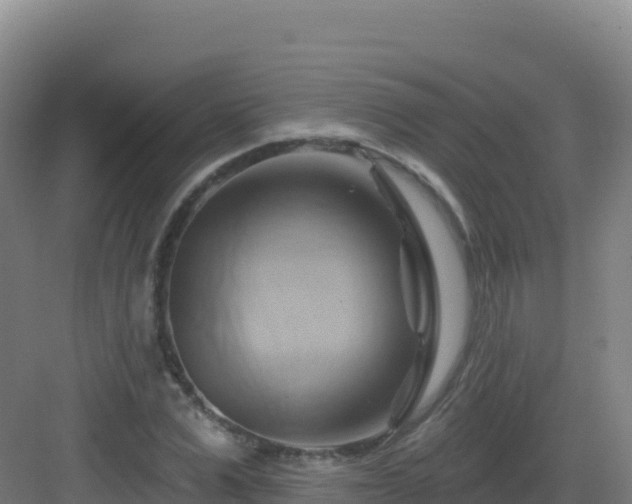 X0000083040975200702091404