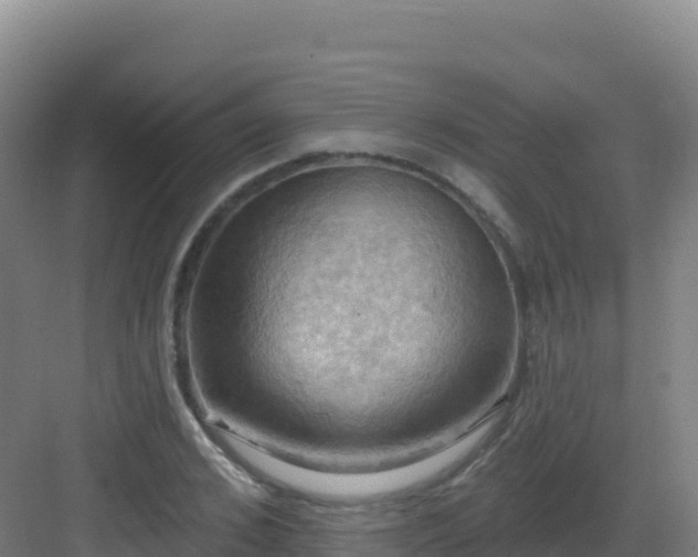 X0000083040976200702091404