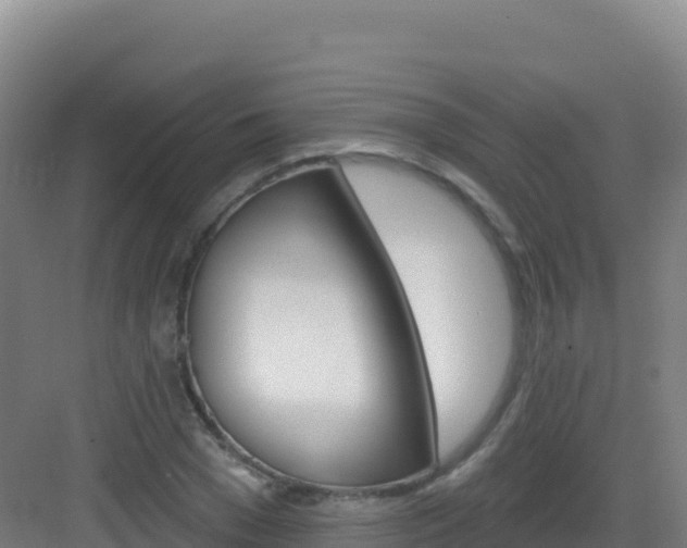 X0000083040977200702091404