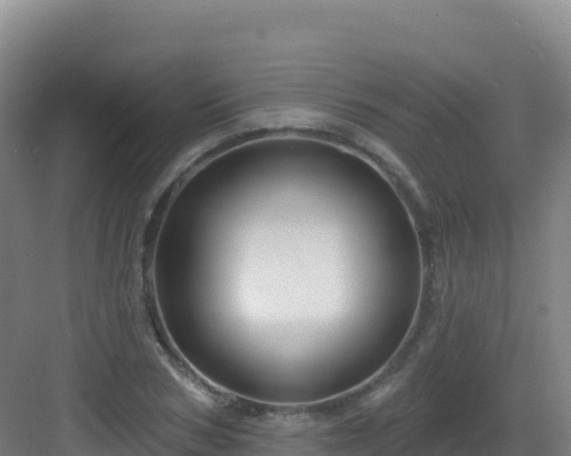 X0000083040978200702091404