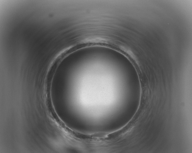 X0000083040979200702091404