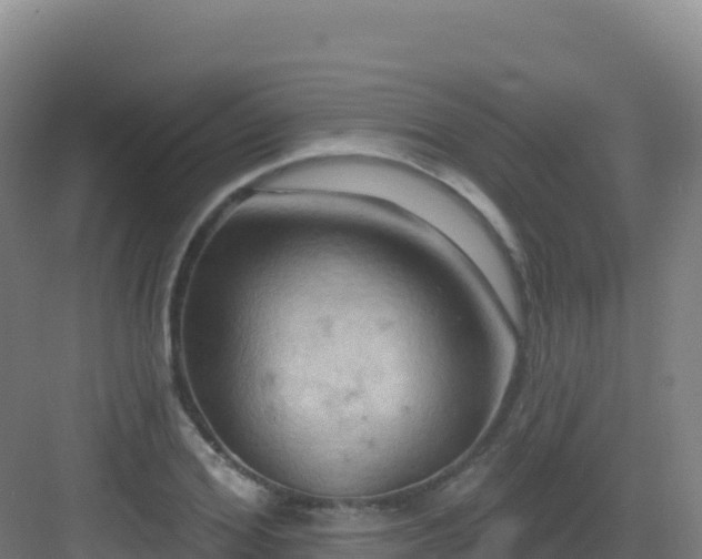 X0000083040980200702091404