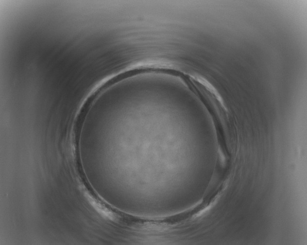 X0000083040981200702091404