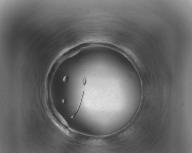 X0000083040982200702091404