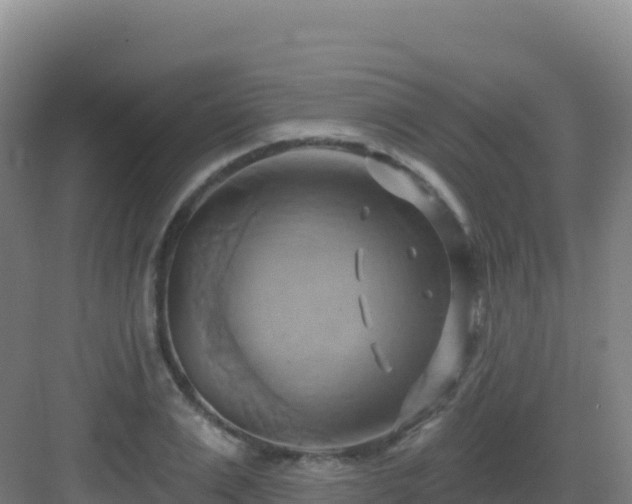 X0000083040983200702091404