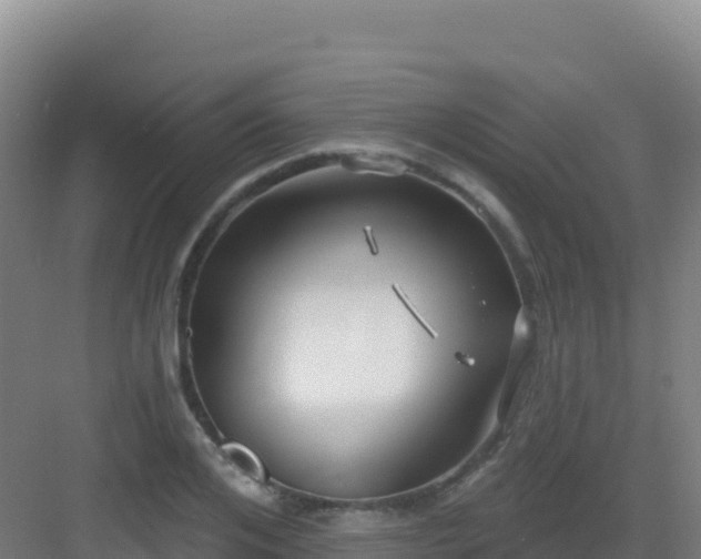 X0000083040984200702091404