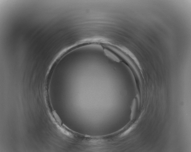 X0000083040989200702091404