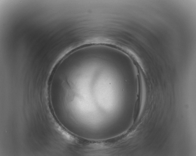 X0000083040990200702091404