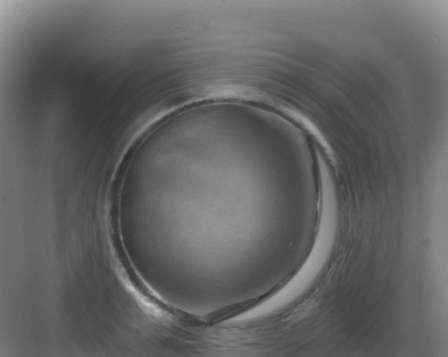 X0000083040991200702091404