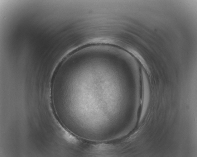 X0000083040992200702091404