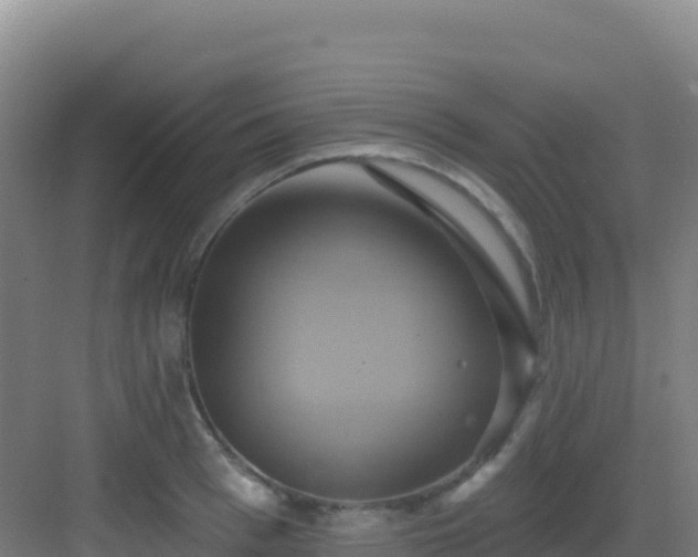 X0000083040993200702091404