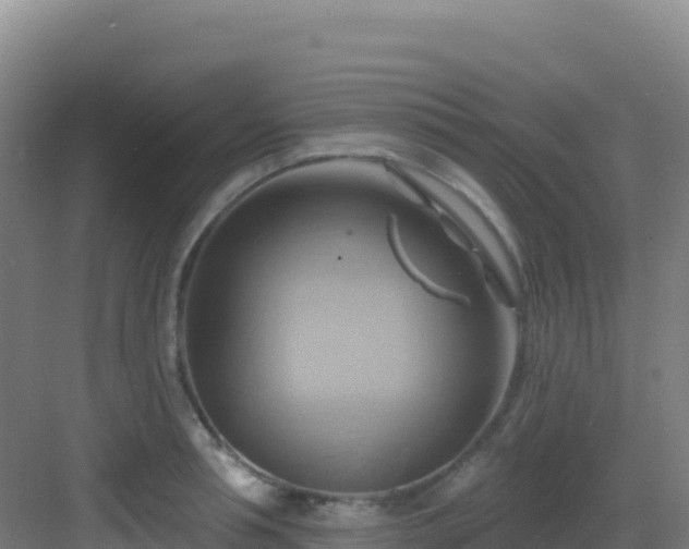 X0000083040994200702091404