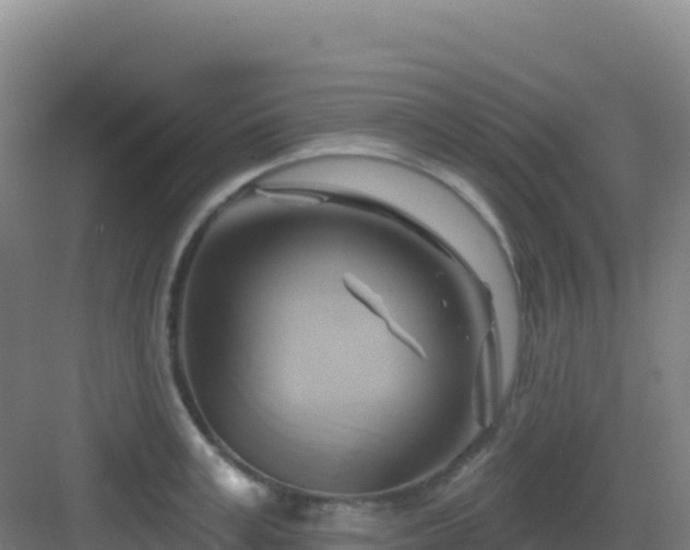 X0000083040995200702091404