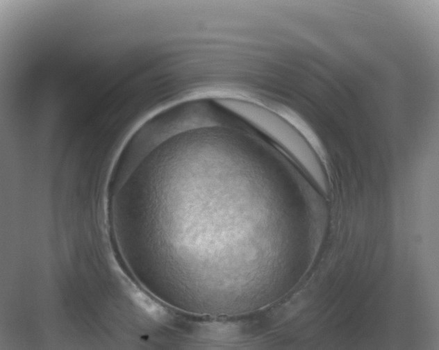 X0000083040996200702091404