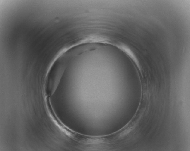 X0000083040997200702091404