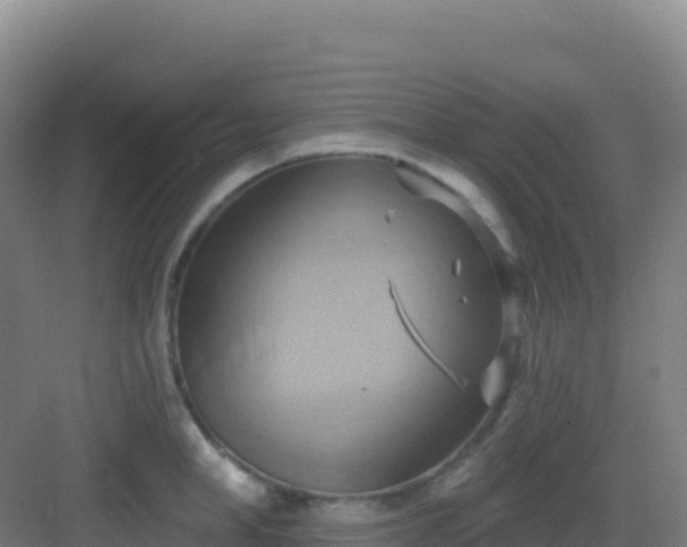 X0000083040998200702091404