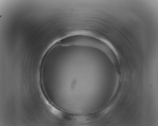 X0000083040999200702091404