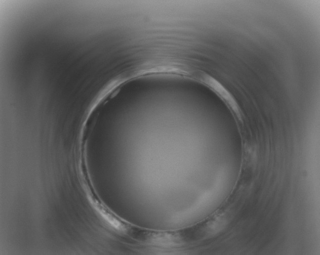 X0000083041002200702091404