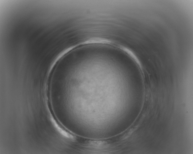 X0000083041003200702091404