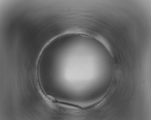 X0000083041004200702091404