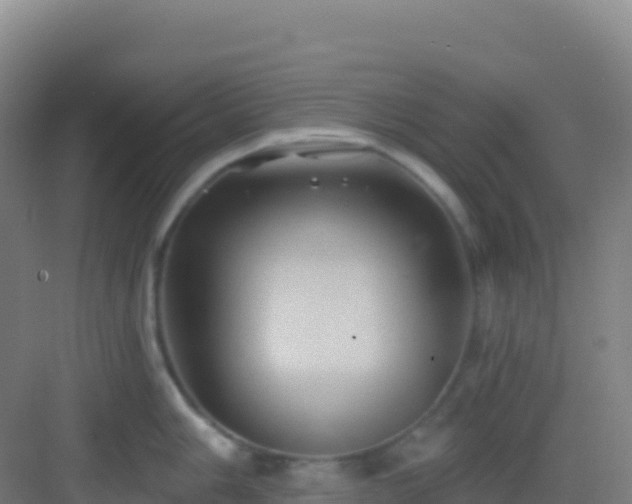 X0000083041006200702091404