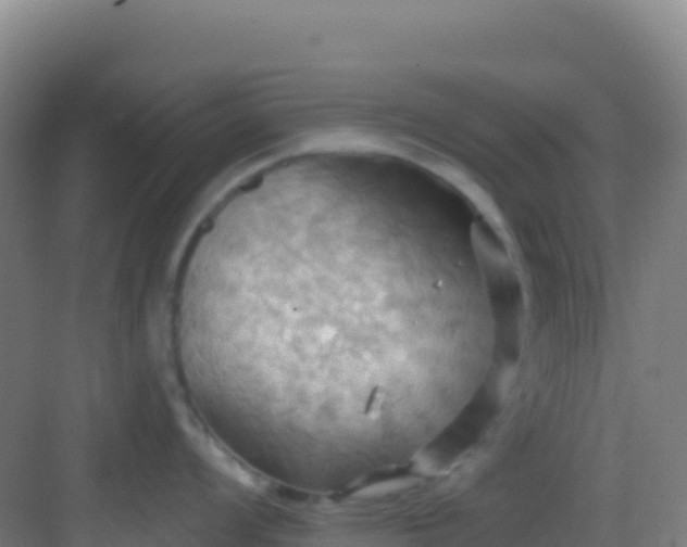 X0000083041008200702091404