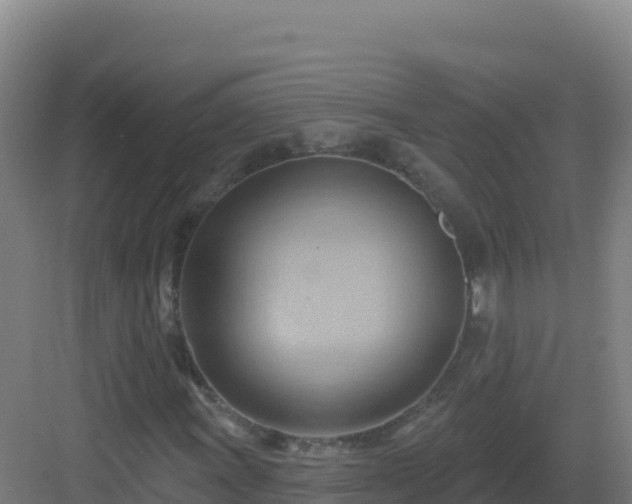 X0000083041011200702091403