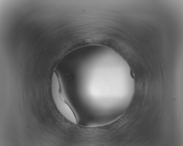 X0000083041012200702091403