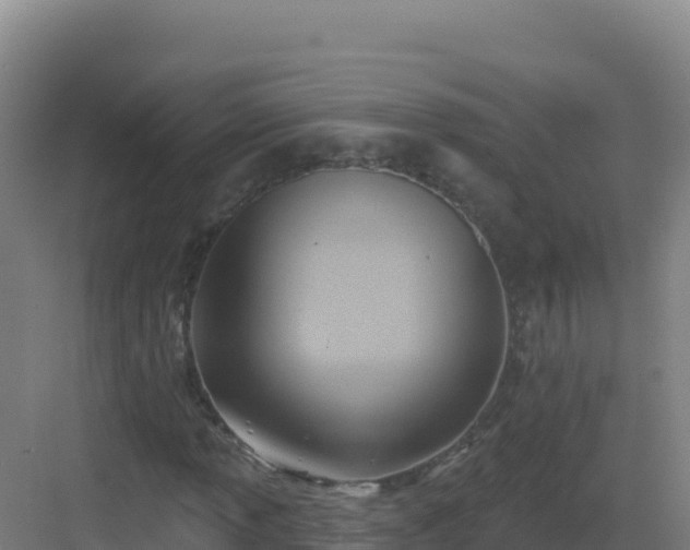 X0000083041013200702091403