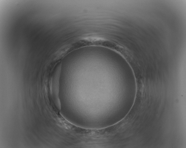 X0000083041014200702091403