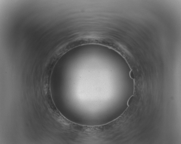 X0000083041015200702091403