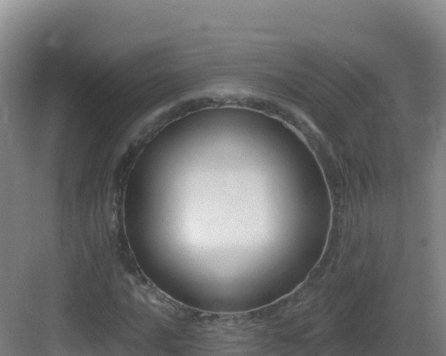 X0000083041016200702091403