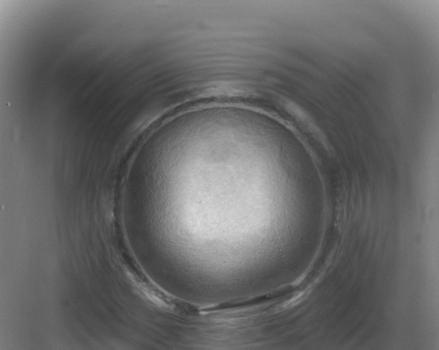 X0000083041017200702091403