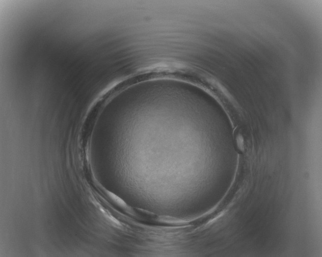 X0000083041018200702091403