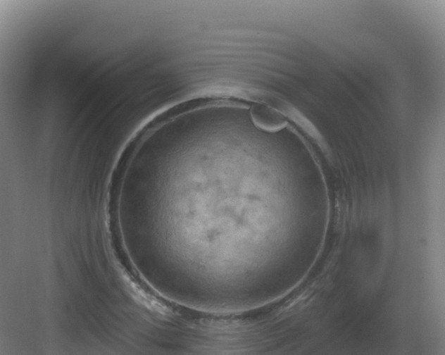 X0000083041020200702091403