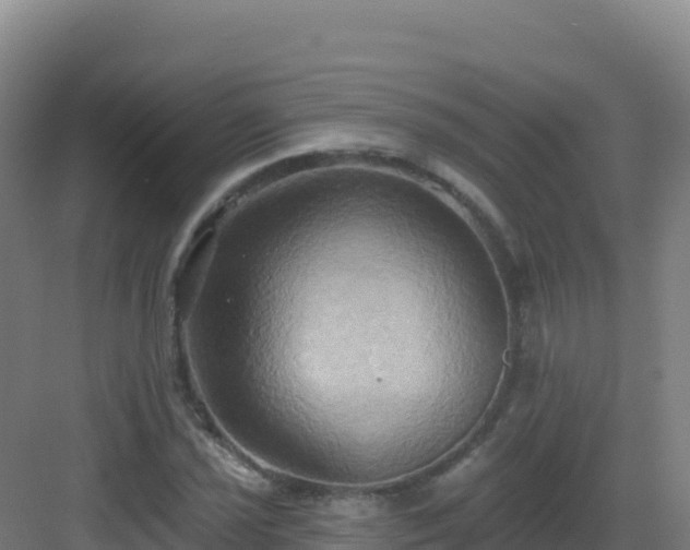 X0000083041021200702091403