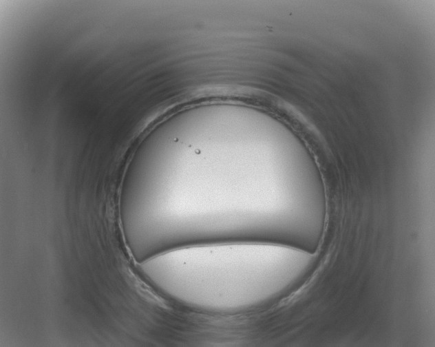 X0000083041025200702091403