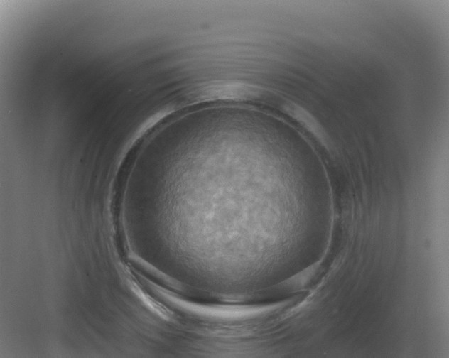 X0000083041026200702091403