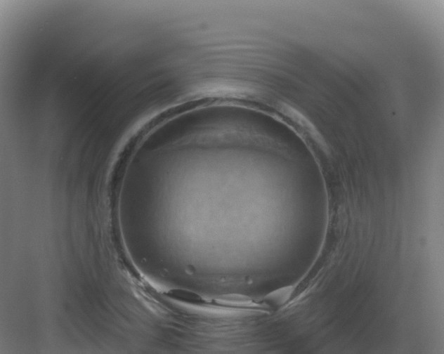 X0000083041027200702091403