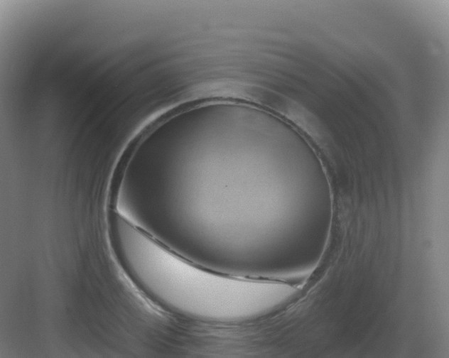 X0000083041028200702091403