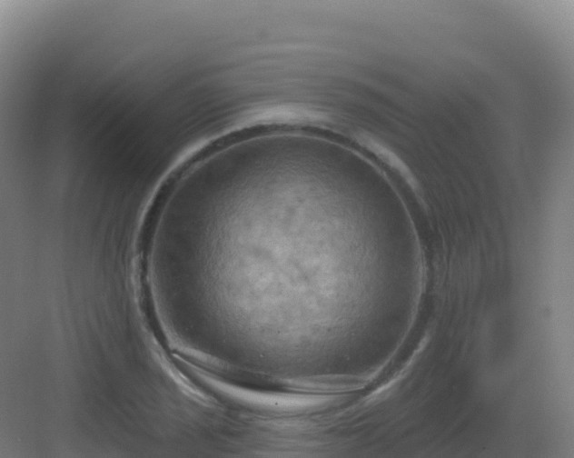 X0000083041029200702091403