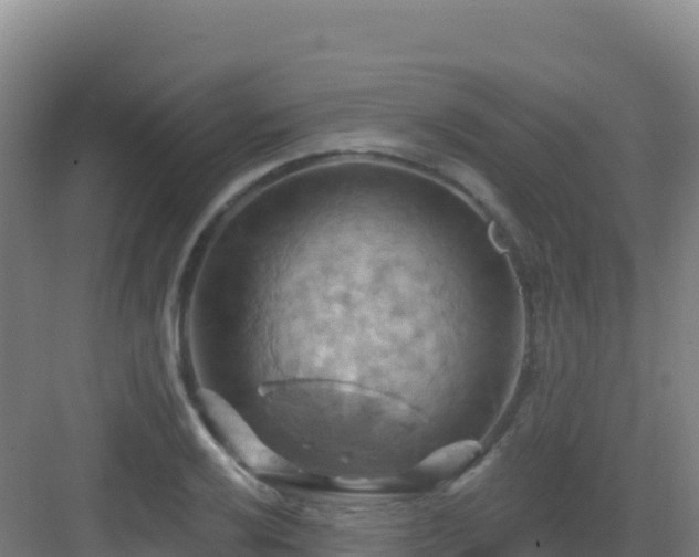 X0000083041032200702091403