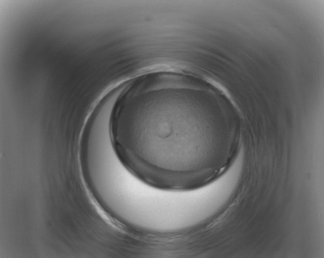 X0000083041034200702091404