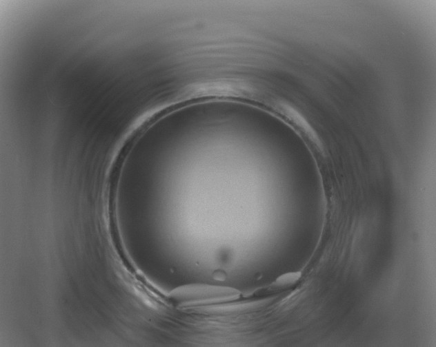 X0000083041035200702091404