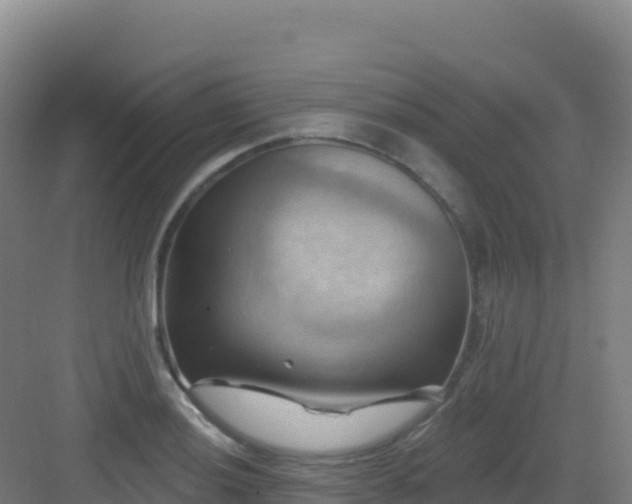 X0000083041036200702091404