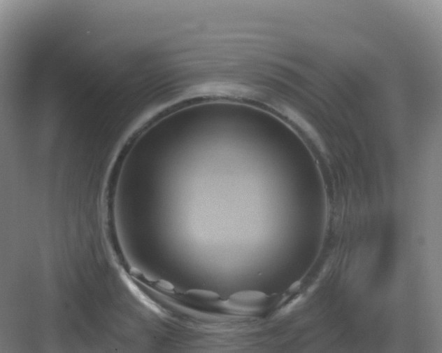 X0000083041037200702091404