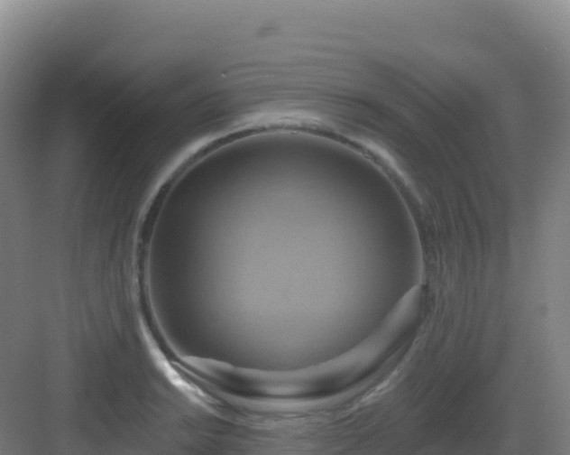 X0000083041038200702091404