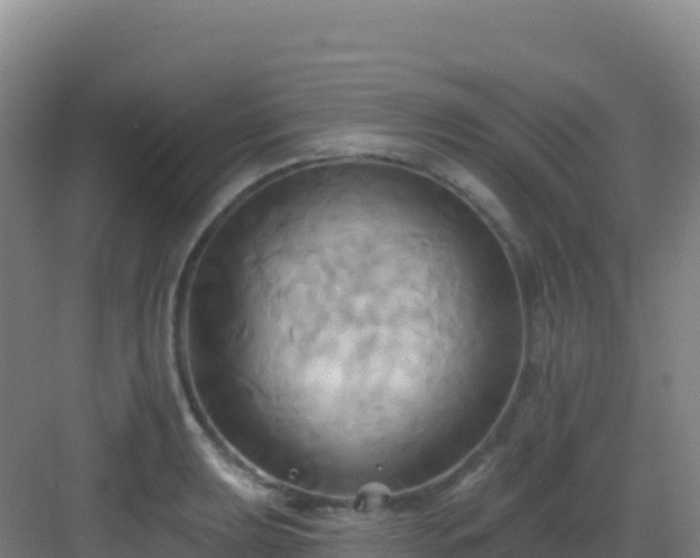 X0000083041039200702091404