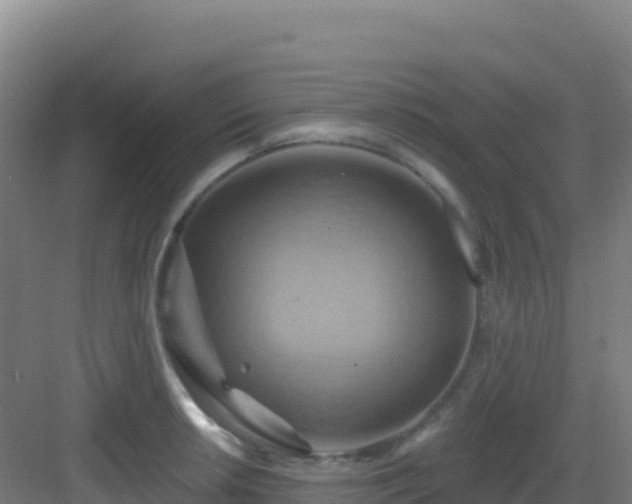 X0000083041042200702091404